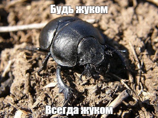 308482902_.jpg.9669966ac201d950a52296774d613635.jpg