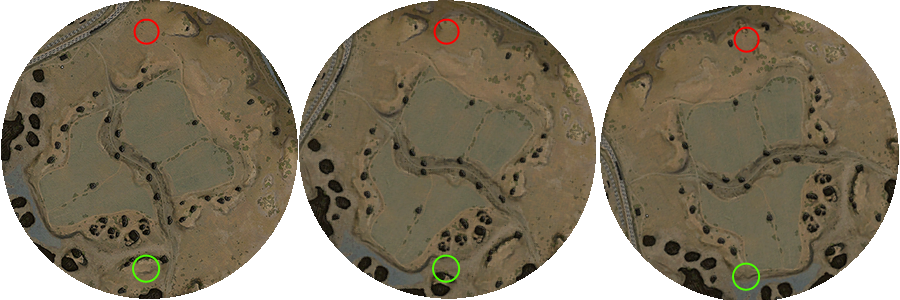 Minimap_35_steppes.png.b9d7700d0f4aed94f8284f701c5955b2.png