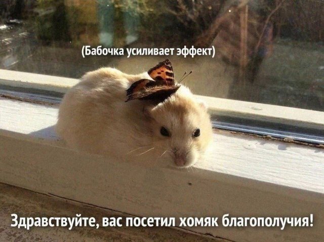 image.jpeg