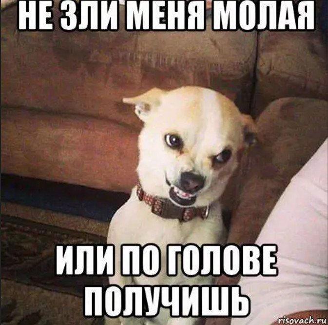 1609021878_.jpg.eda291eeb9f539dac2451b49375ce8ac.jpg