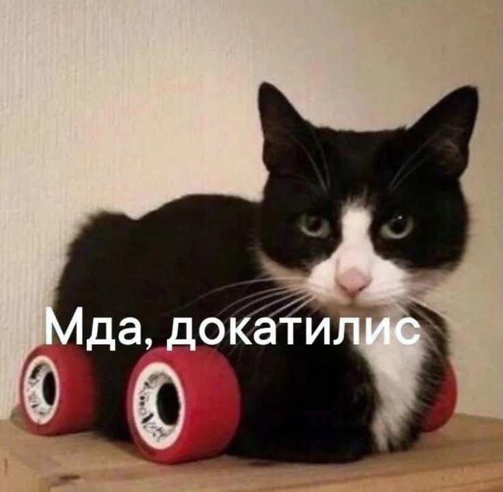 image.jpeg