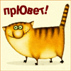 RenamedUser_57621601