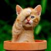 RenamedUser_20917601