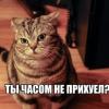 00qok12rus00