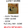 LostDoge