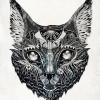 BlackFox998
