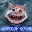 Giper_Rogatka