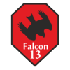 Falcon__13