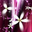 WOT_AnneT