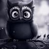 RenamedUser_27664215