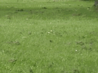 RenamedUser_128160102