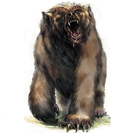 Greygrizzly