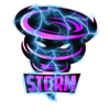 StormFly