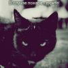 HayM__B__TaHkE