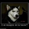 _KJluM_4yryHkuH_