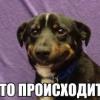 RenamedUser_77159923