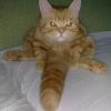 RenamedUser_31744228