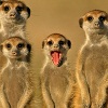 RenamedUser_42336428