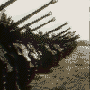 Sturmfhrer