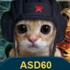 ASD60