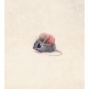 Mouse_in_the_house