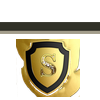 _N_G_S_
