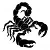 ToHHa_BecoM