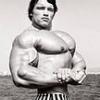 l_SCHWARZENEGGER_l