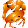Xomeleon333