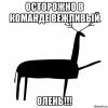 one_noble_deer