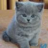 RenamedUser_24371315