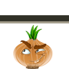 AKAWOY