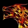 Fire_Dragon_76
