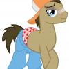 Dr_Whooves