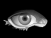 Xiazon