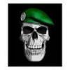 RenamedUser_29672646
