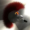 DAGON_1349