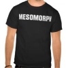 __mesomorph__