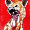 DiHyenaX