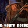 pashtet_71rus