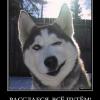 puhpuhych