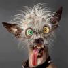 Grinch_73