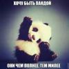 RenamedUser_32801153