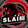 SLAIM_PROFILE