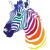 RenamedUser_35591855