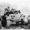sibylba111