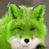 RenamedUser_59384156