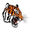 Tigertem