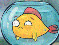 RenamedUser_20073458