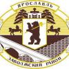 zavoljanin